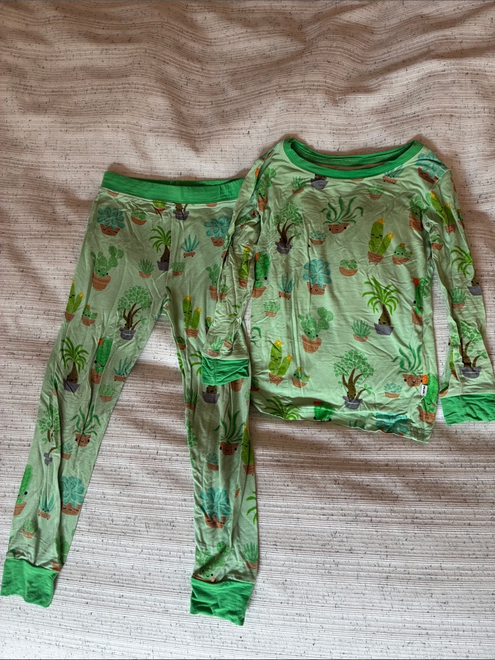 Little sleepies Succulent pajamas